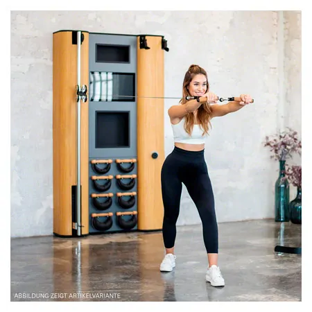 NOHrD Wall Compact, pulley, ski trainer, 8 swing dumbbells, cherry