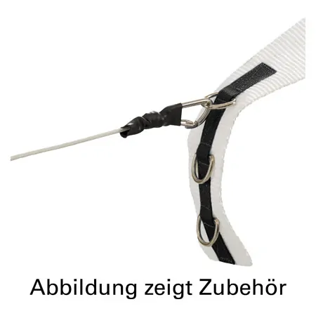 Rotation belt
