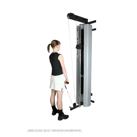 Lojer vertical rowing machine Vertical Pull 100