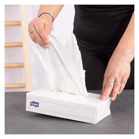 Cosmetic tissues, 20x20.8 cm, 100 pieces