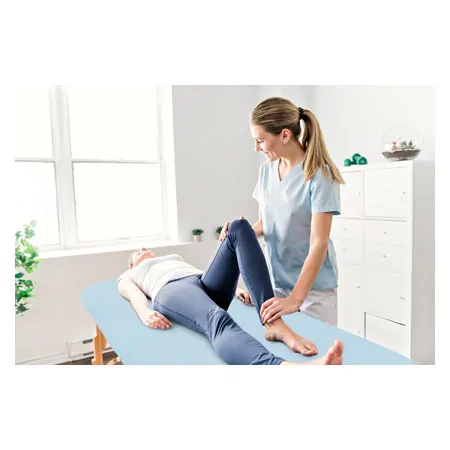 Massage tables cover, 200x85 cm