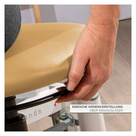 Rotatory stool standard with comfort cushion and glides