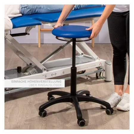 Rotatory stool standard with cushion and wheels