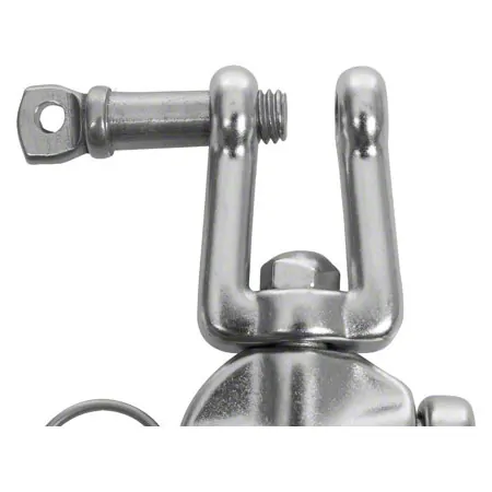Swivel with ring