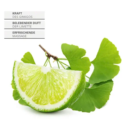 Massage Oil Ginkgo Lime, 1 l