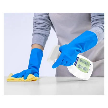 Bacillol 30 Foam surface disinfectant, 750 ml