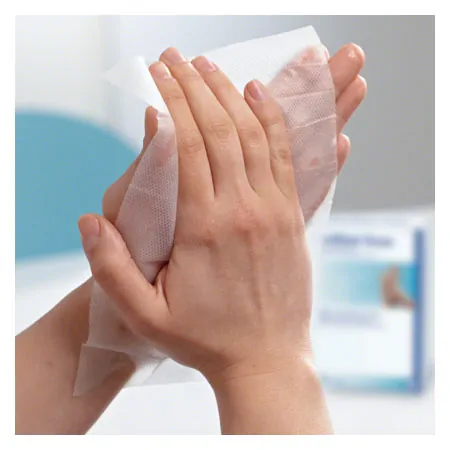 Sterillium Tissue, 10 pieces