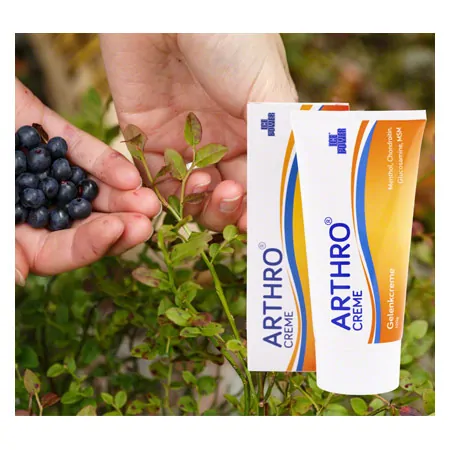 Ice Power Arthro Creme, 120 g
