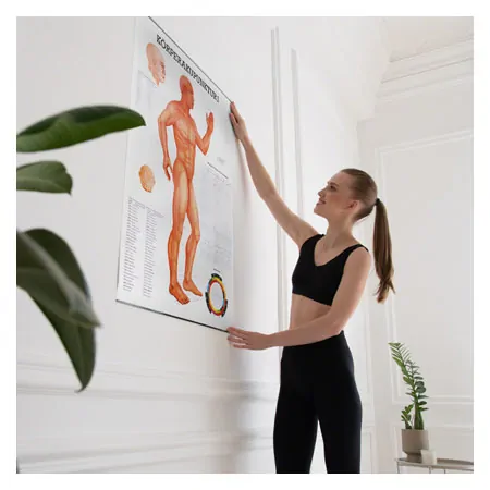Wall chart - body acupuncture I - , LxW 100x70 cm