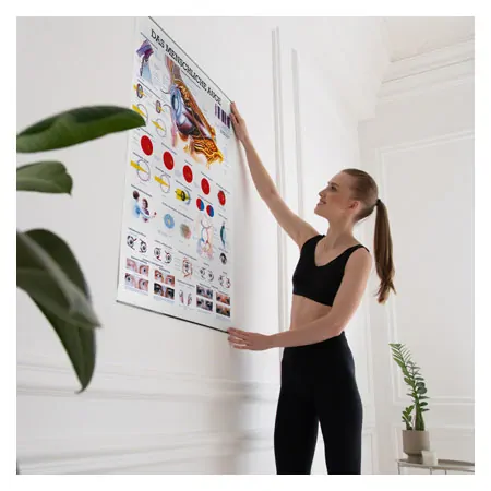 Wall chart - The Eye - , LxW 100x70 cm
