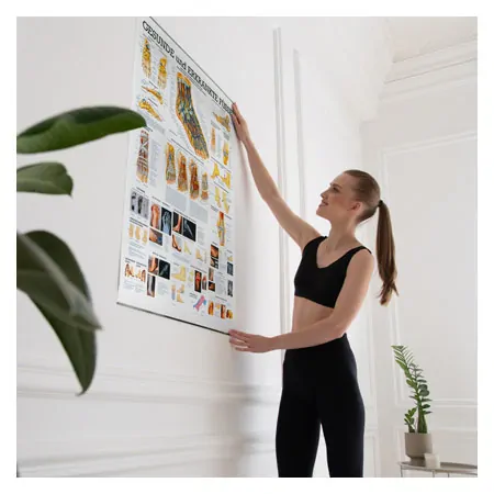 Wall chart - The Foot - , LxW 100x70 cm