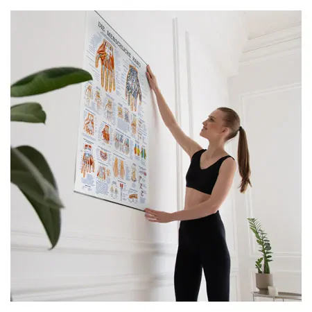 Wall chart - The Hand - , LxW 100x70 cm