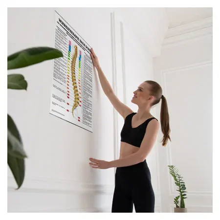 Posters - Spinal therapy Dorn - L x W 70x50 cm