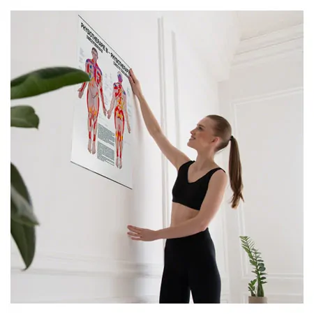 Posters - connective tissue massage - L x W 70x50 cm