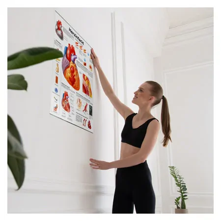 Poster - heart attack, - L x W 70x50 cm