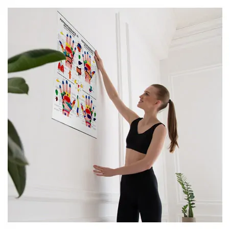 Poster - Reflex zones hand - L x W 70x50 cm