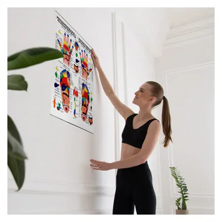Poster - Reflex zones - , L x W 70x50 cm