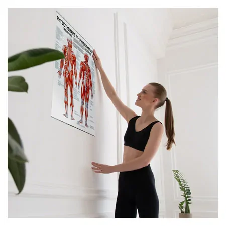Poster - trigger points - L x W 70x50 cm
