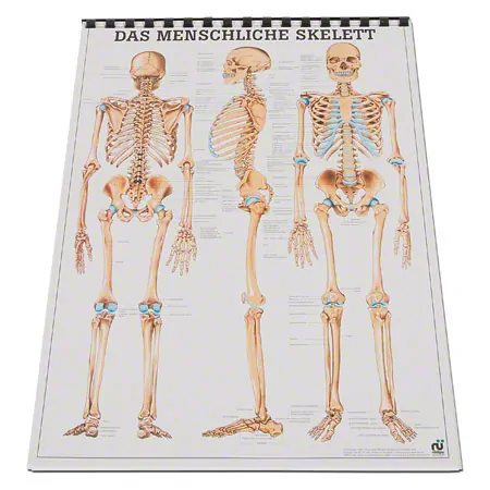 Mini Poster Set, 20 pieces