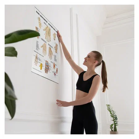 Posters - Hand-Acupuncture - L x W 70x50 cm
