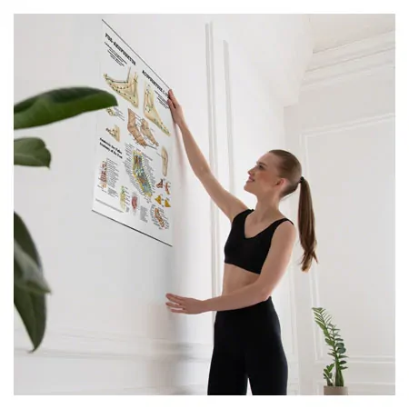 Posters - Foot Acupuncture - L x W 70x50 cm
