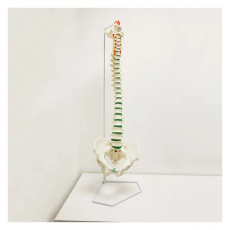 Spine incl. stand, 85 cm