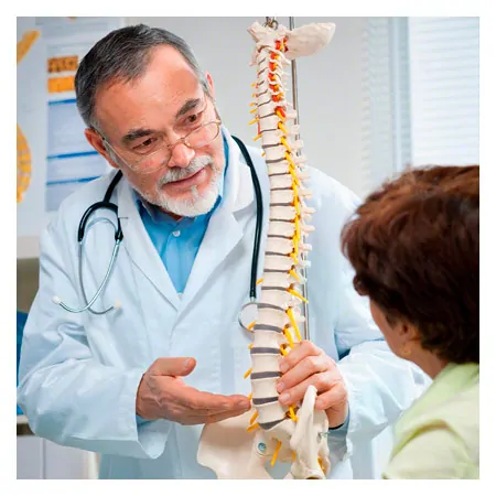 Spine incl. stand, 85 cm