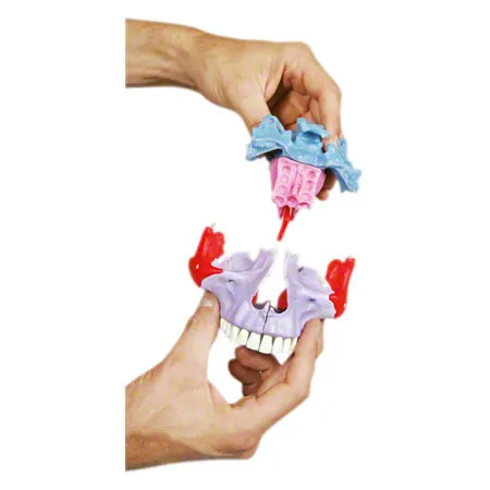 Snap skull, 18-piece, colourful