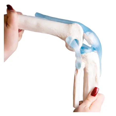 Knee joint, LxWxH 13x13x40 cm