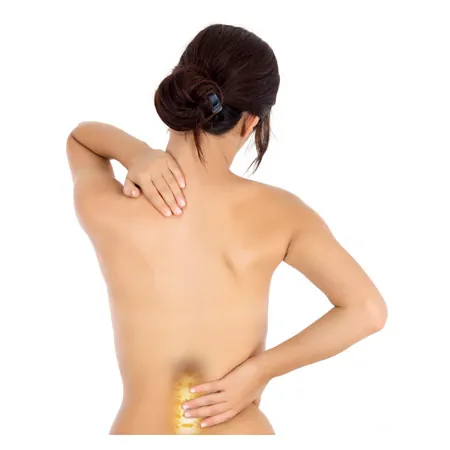 Lumbar spine with stand