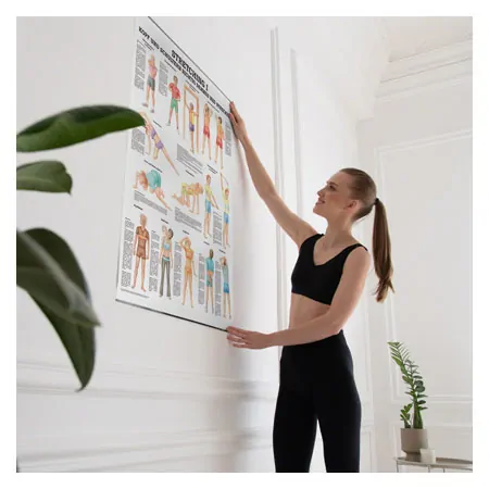 Wall chart - stretching I - , LxW 100x70 cm
