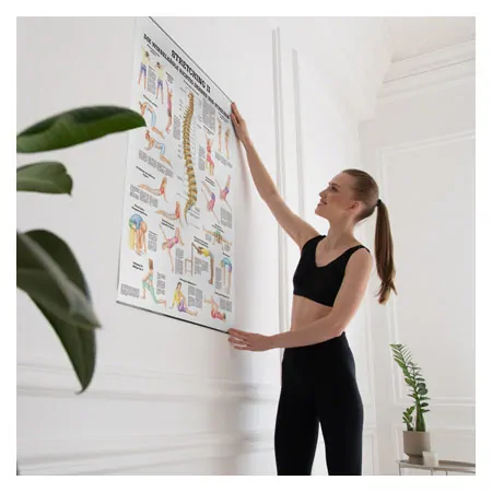 Wall chart - Stretching II - , LxW 100x70 cm