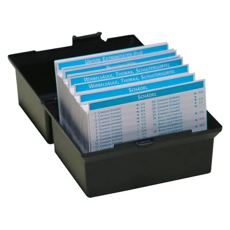 Flashcards skeletal system in the card box, 303 cards