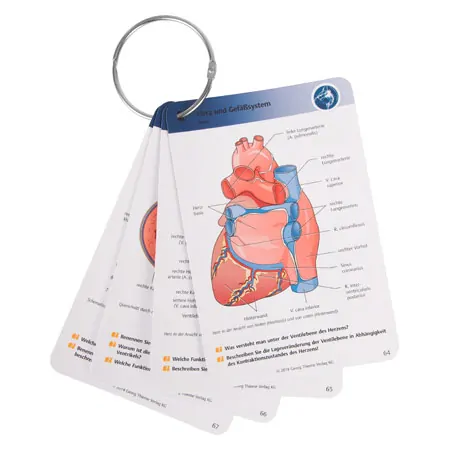 physiotherapy cards - Physiology for physiotherapists, 415 cards