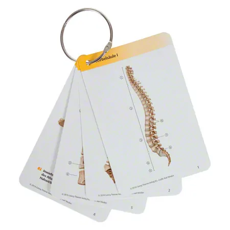 PROMETHEUS Anatomy flashcards, 483cards