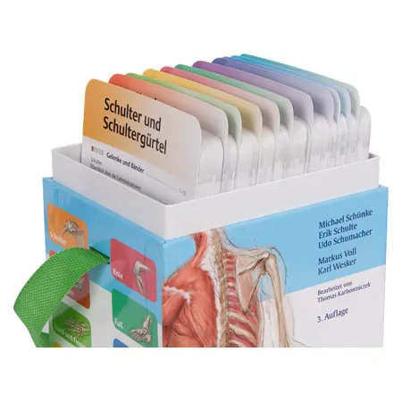 PROMETHEUS Anatomy Flashcards about musculoskeletal system, 400 cards