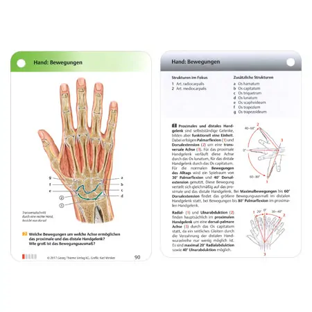 PROMETHEUS Anatomy Flashcards about musculoskeletal system, 400 cards