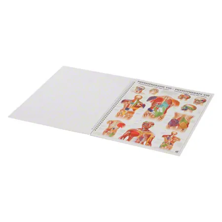 Mini poster booklet - Human physiotherapy - , LxW 34x24 cm, 12 posters