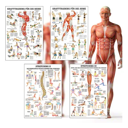 Mini-Poster Booklet Fitness and Weight training, LxB 34x24 cm, 12 posters