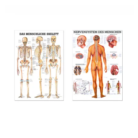 Teaching board set: 6 teaching boards, LxW 100x70 cm