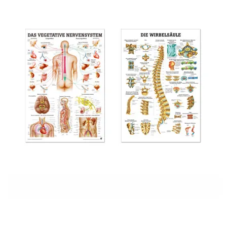 Teaching board set: 6 teaching boards, LxW 100x70 cm