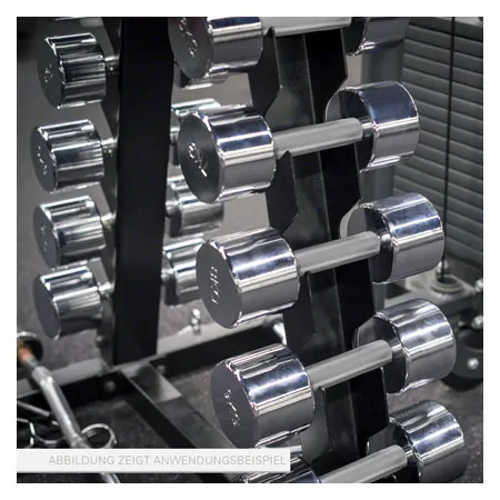 Dumbbell stand set with 10 pairs of chrome dumbbells, 1-10 kg, LxWxH 74x62x128 cm