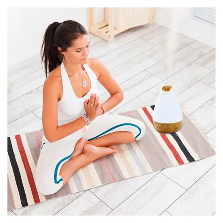 Ultrasonic Humidifier Aroma Diffuser AL-1300WS