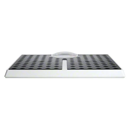 seca bathroom scale Robusta 813
