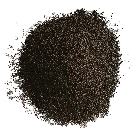 Canola 6 kg incl. tub and insert