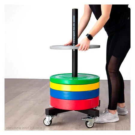 Bumper Plate storage trolley, mobile, LxWxH 60,5x60,5x97 cm