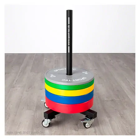 Bumper Plate storage trolley, mobile, LxWxH 60,5x60,5x97 cm