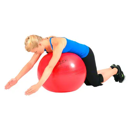 ARTZT vitality fitness ball standard,  55 cm, red