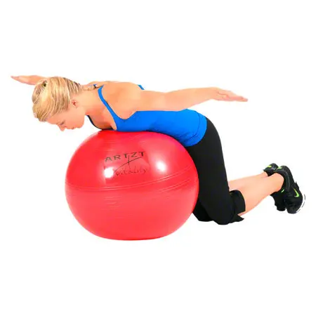 ARTZT vitality fitness ball standard,  55 cm, red