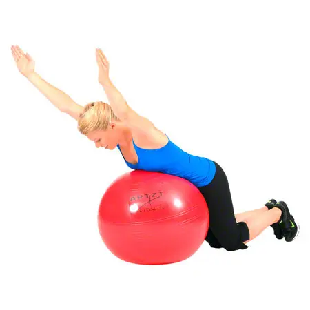 ARTZT vitality fitness ball standard,  55 cm, red